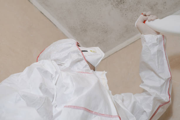 Best Mold Damage Repair  in Greenwood, SC