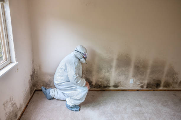 Best Emergency Mold Removal  in Greenwood, SC